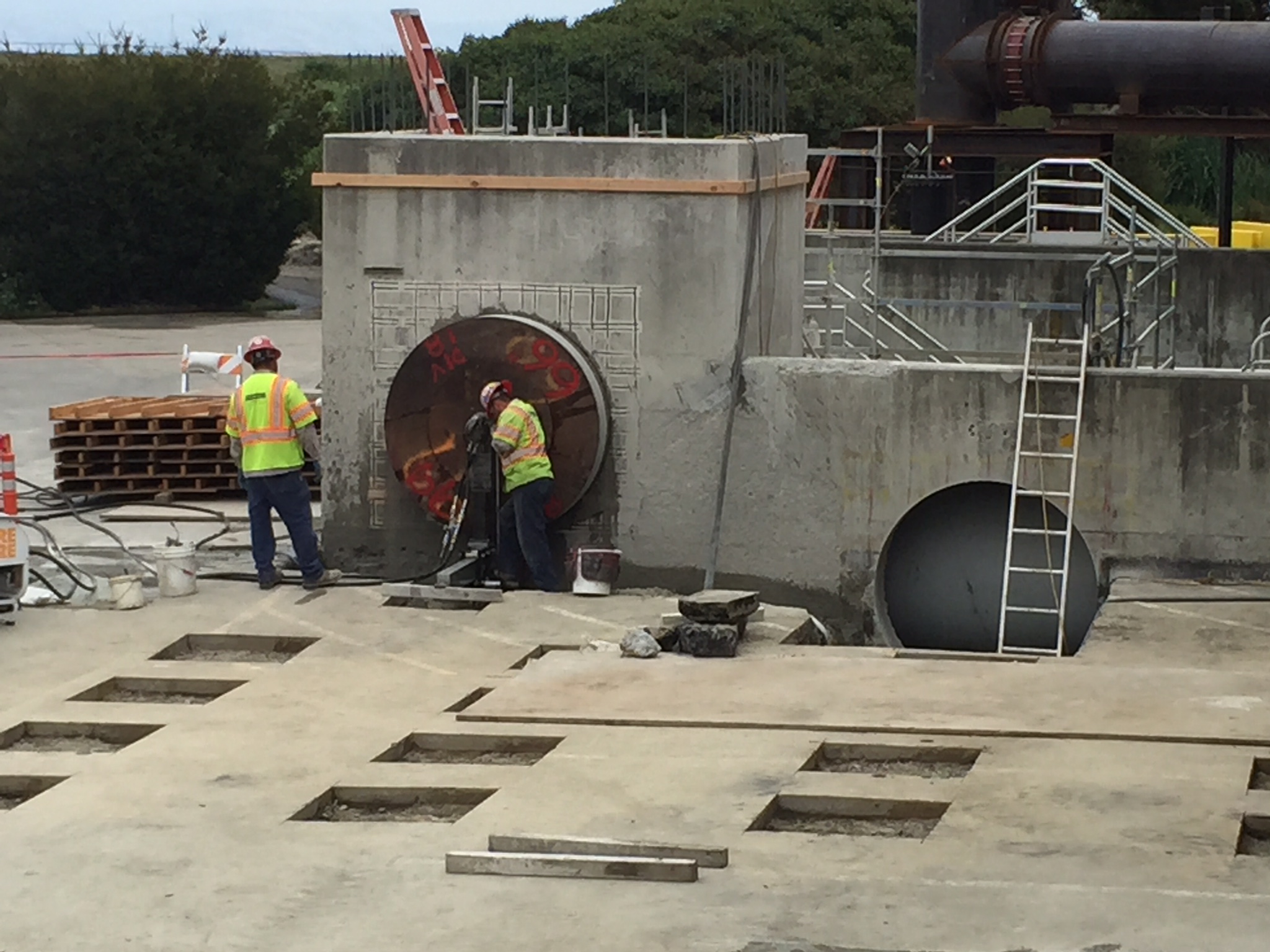 ECAE5EBA-222D-4868-8A20-A6C85CBECC79_Gerry Molina