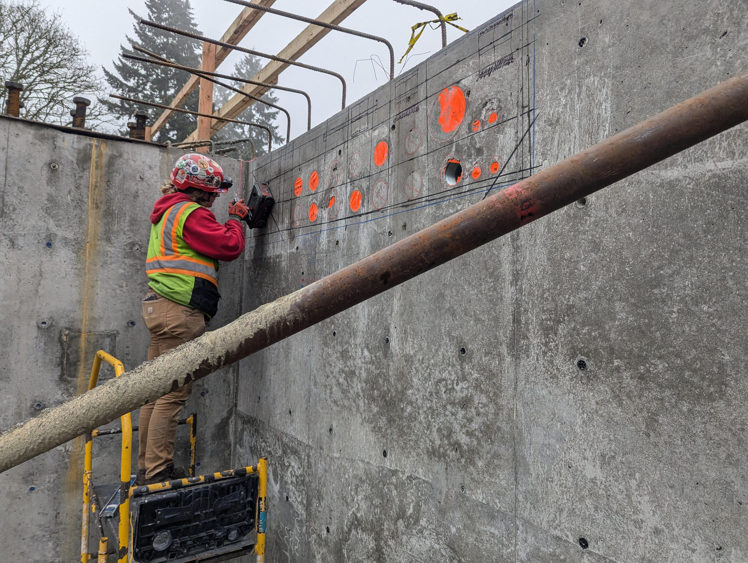 PXL_20250114_184117439